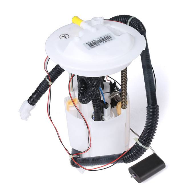 Volvo Fuel Pump Assembly 30792781